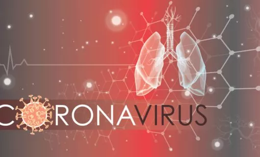 Corona Virus